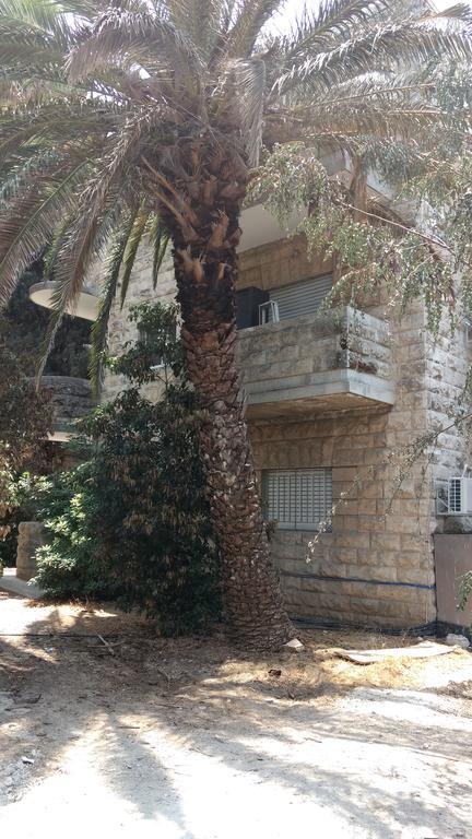 Sweet Inn Apartment - Ramban 13 เยรูซาเลม ภายนอก รูปภาพ